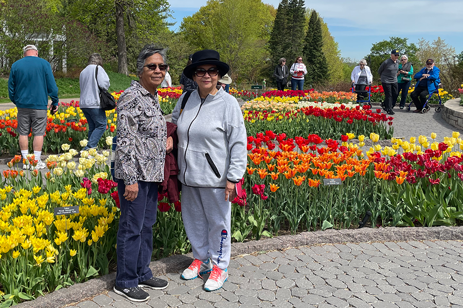 Phoenix Cove Adult Day Care Activites